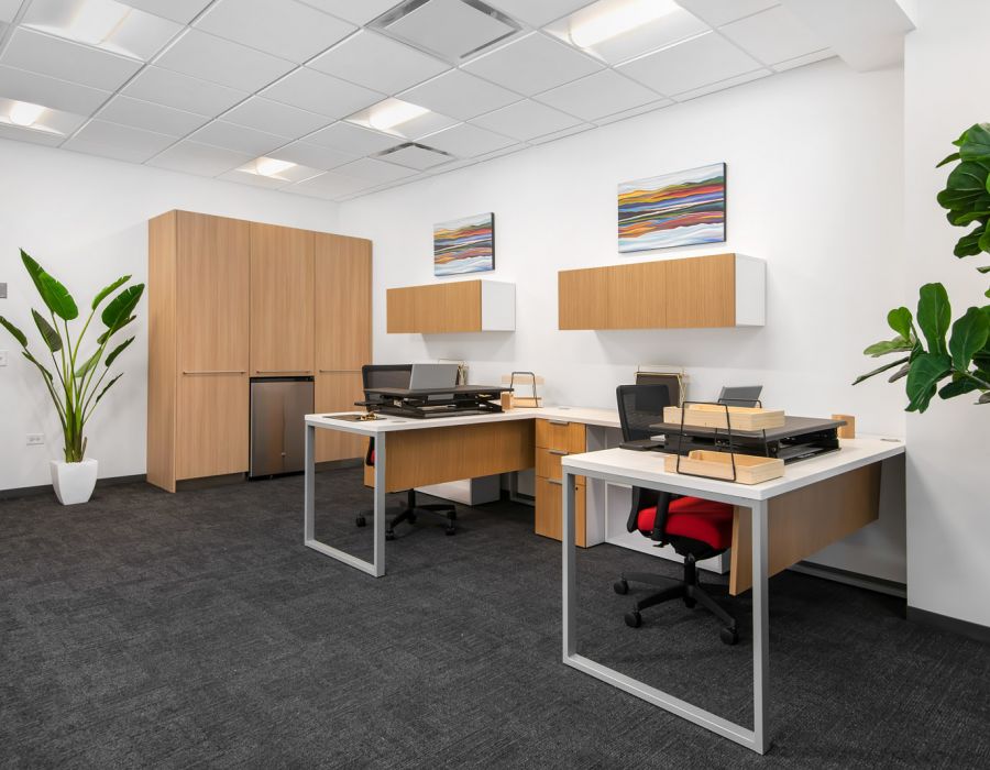 Optima Signature in Downtown Chicago with Modern office with two desks, computers, wood cabinets, plants, and colorful abstract art on the wall.