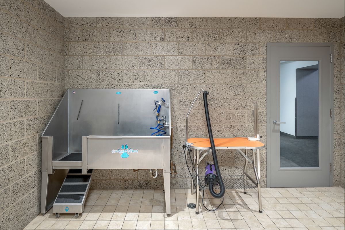 Optima Signature in Downtown Chicago with Pet washing station with a metal tub, hose, grooming table, and dryer in a tiled room.