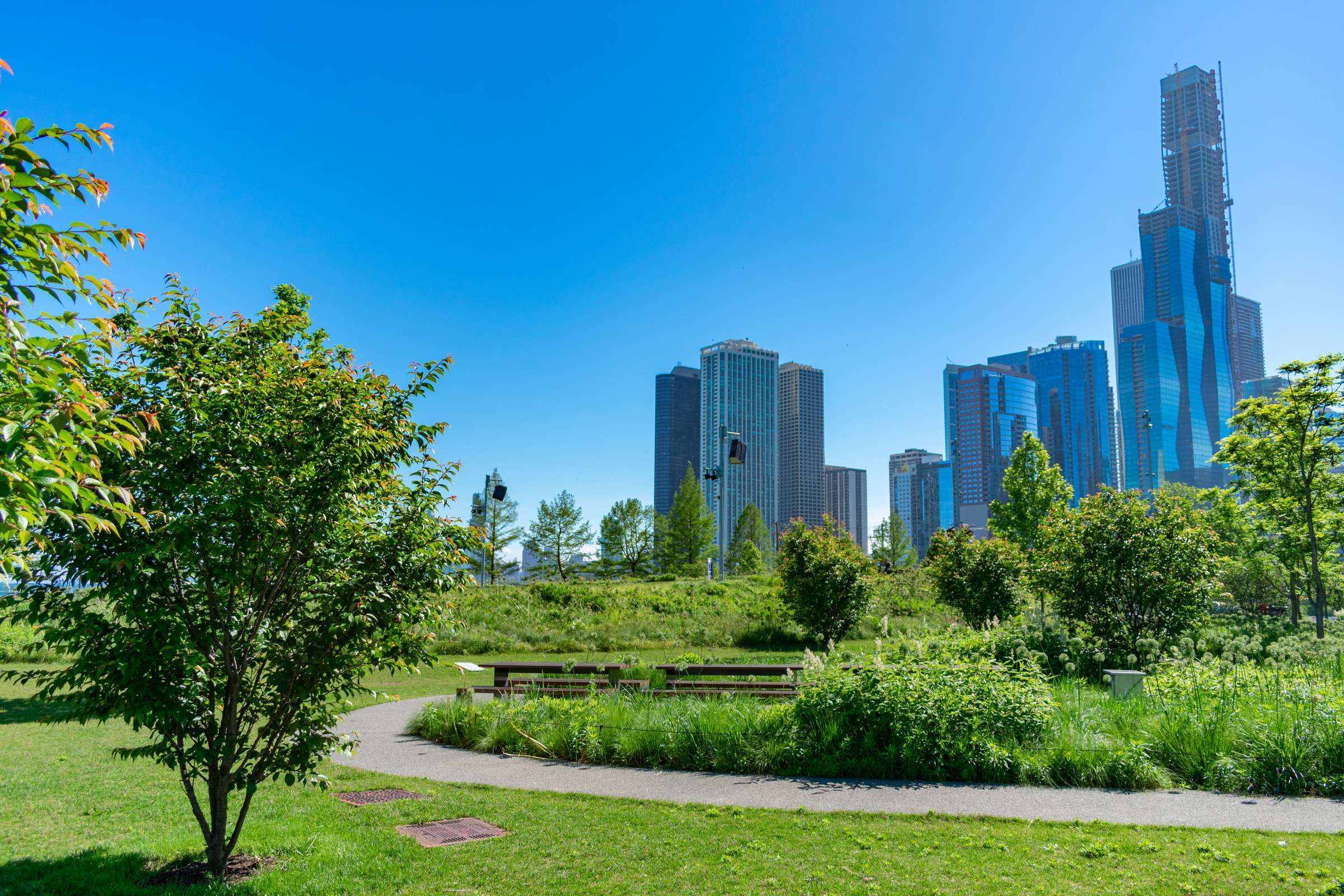 Optima Signature in Downtown Chicago with A sunny park with green trees and benches, city skyscrapers in the background under a clear blue sky.
