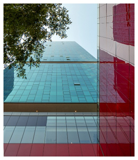 Optima Signature in Downtown Chicago with Looking up at a modern glass building with blue and red panels and a tree branch in the upper left corner.
