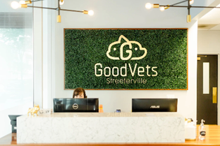 Optima Signature in Downtown Chicago with Reception desk at GoodVets Streeterville with a green logo wall and a person working at a computer.