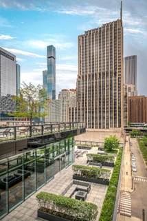 Optima Signature in Downtown Chicago with Rooftop terrace with greenery and seating, surrounded by tall modern skyscrapers under a blue sky.